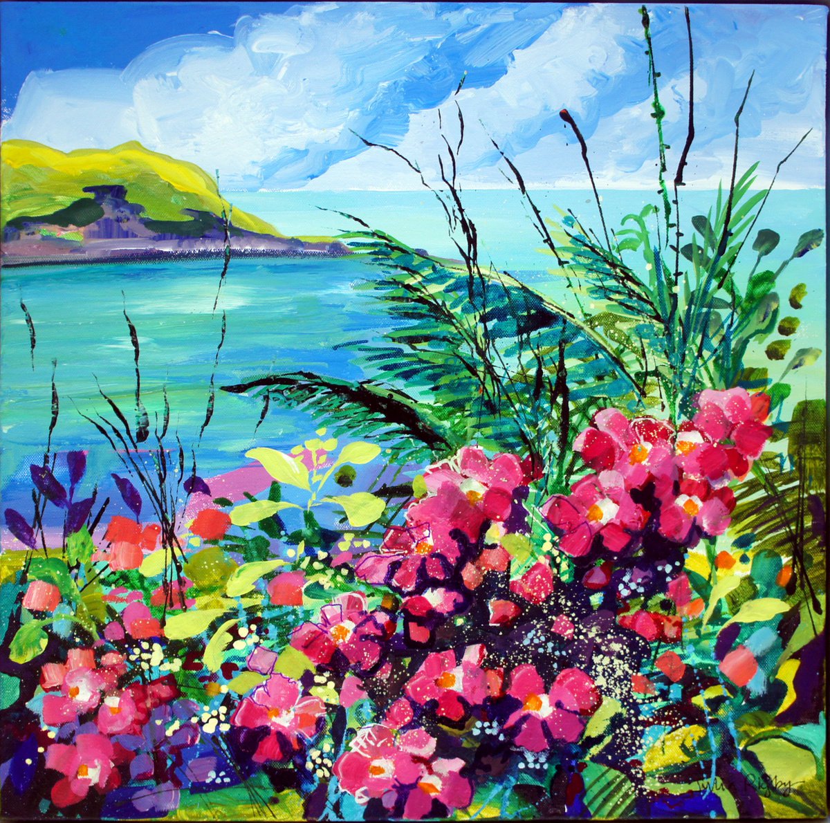 Hope Cove Coast Path - wild roses by Julia  Rigby