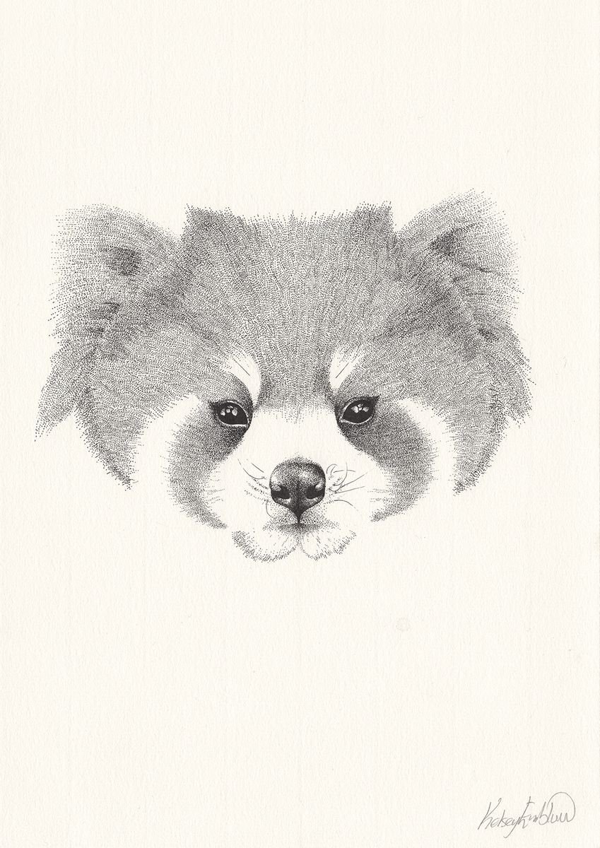 Red Panda by Kelsey Emblow