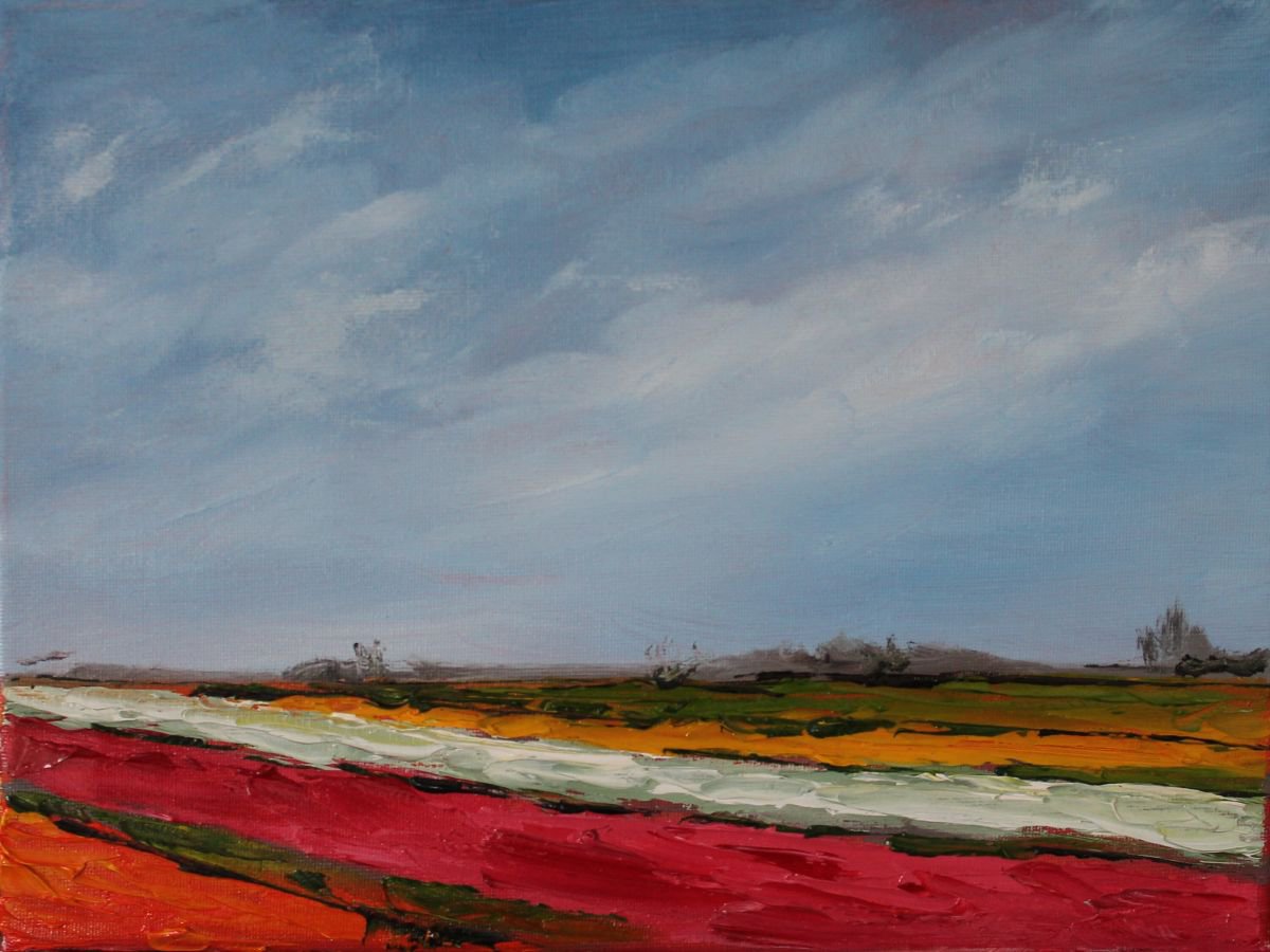 Flower fields Holland by John Halliday