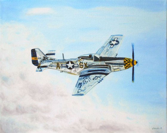 P 51 in Flight