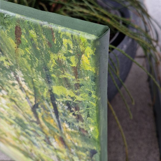 Between Leaves and Light