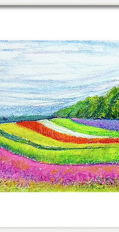 Vibrant summer flower beds by Asha Shenoy