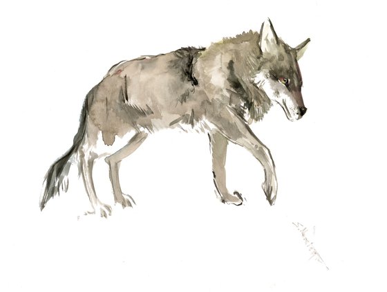 Wolf