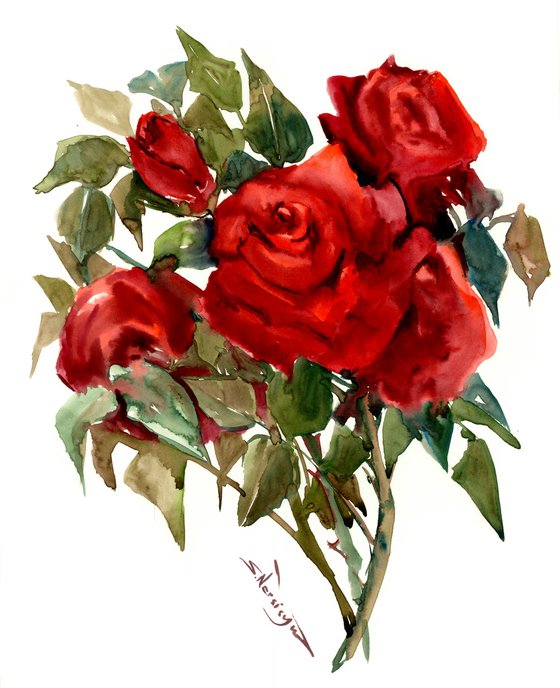 Dark Red Roses