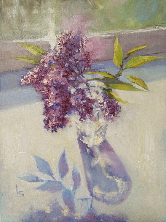 LIlac on the Window