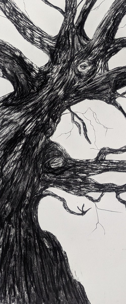 Searching by Sophie Adair