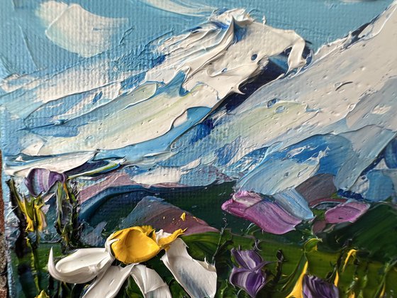 Daisies in the mountains