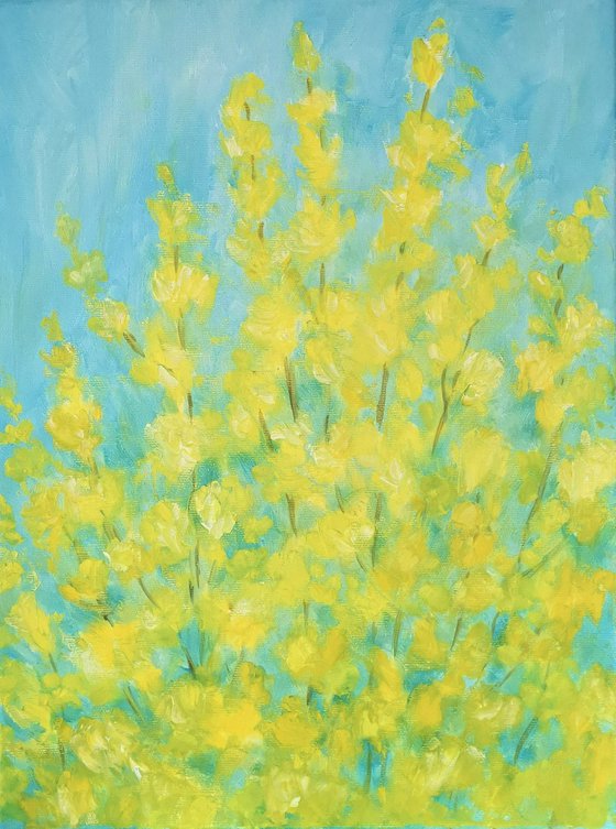 Forsythia