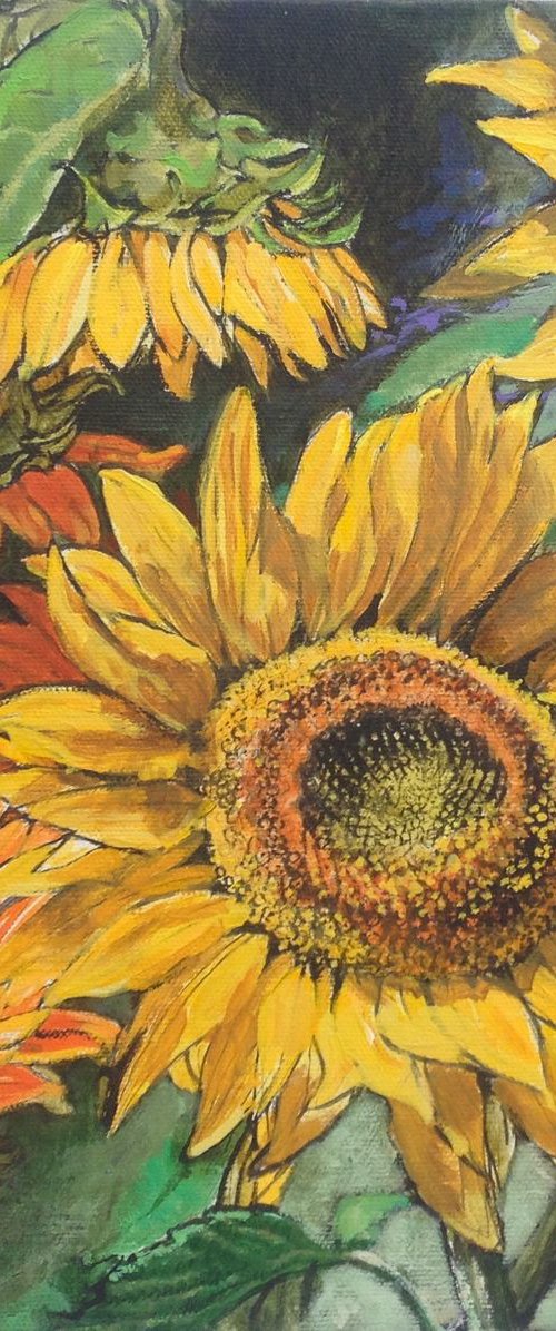 Sunny Sunflowers by Patricia Clements
