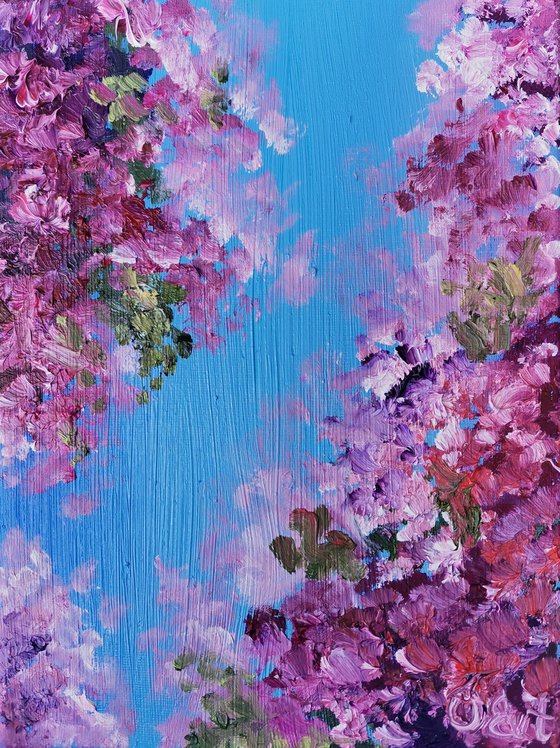 Burgundy bougainvillaea. 18x24 cm. Impasto. Bouganville della Borgogna