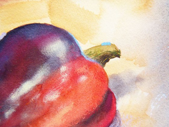 Sweet pepper watercolor study.