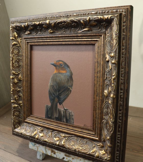 Morning Chorus Series - Red Robin, Bird Artwork, Animal Art Framed