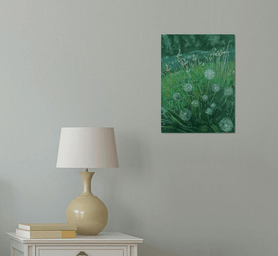 Dandelions