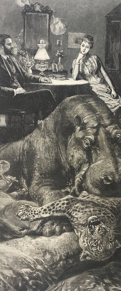 Hippo Cheetah Marriage by Tudor Evans