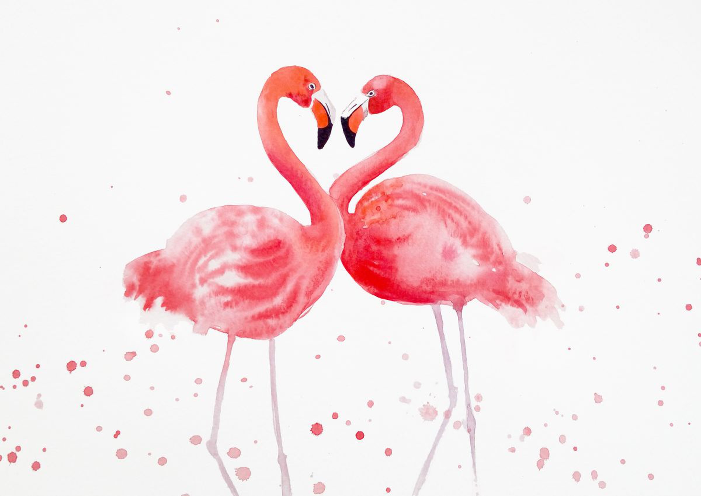 Flamingo Heart Two Pink Flamingos Love Roman Artfinder