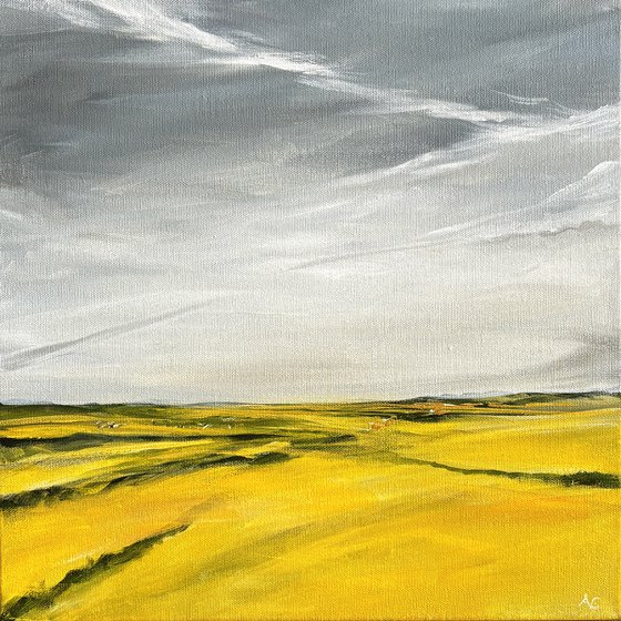 Summer Fields