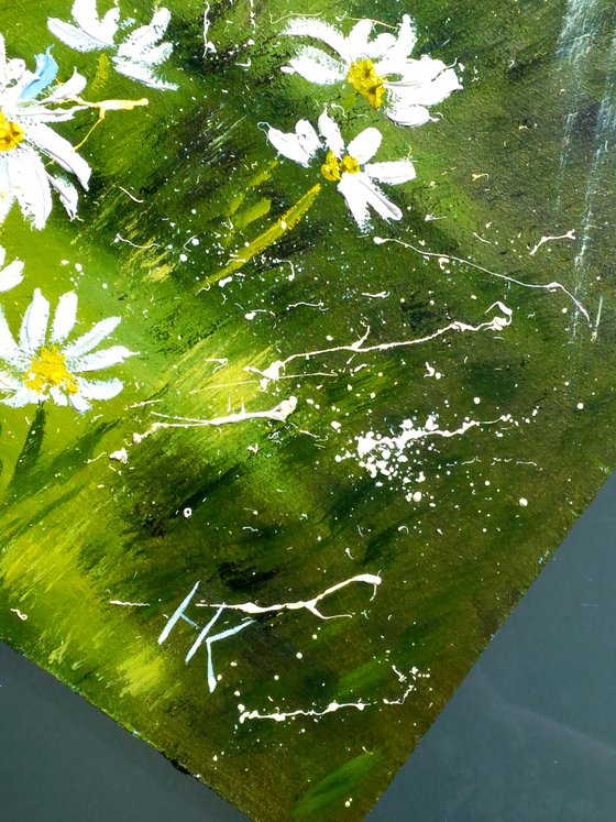 Daisy Painting Landscape Original Art Chamomile Oil Artwork Home Wall Art 12 by 16" by Halyna Kirichenko