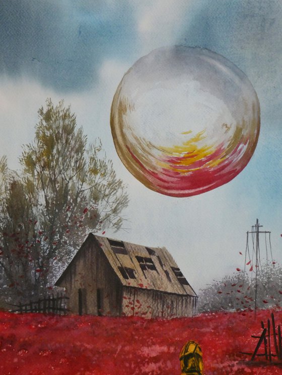 S.T.A.L.K.E.R. 2 Poppy field