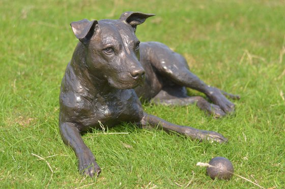 "Skye" Lying American Staffordshire Bull Terrier in Foundry Bronze metal