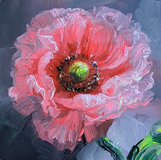 Poppy painting original