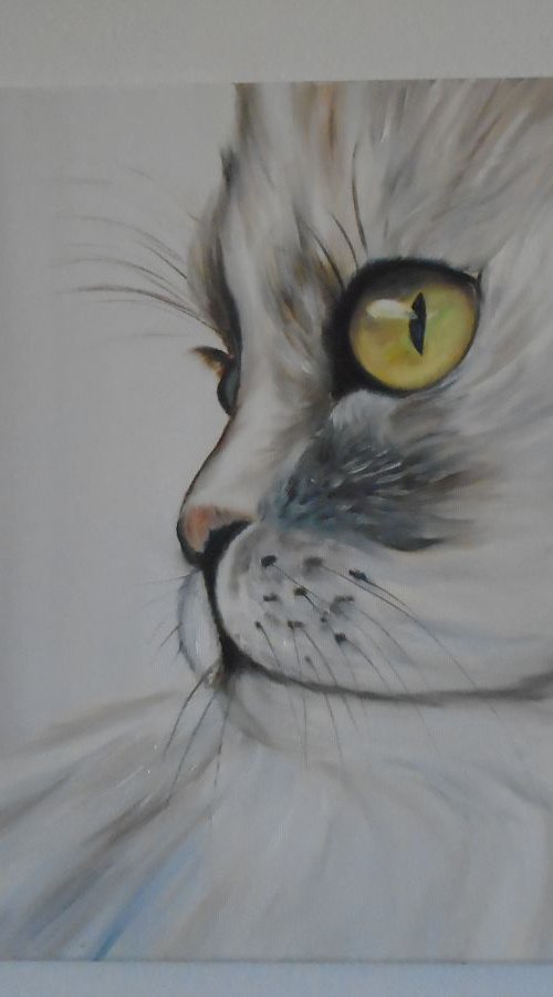 Silver Cat by Timea  Valsami