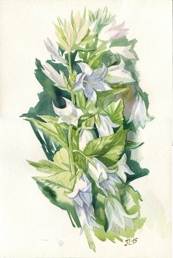 Bells flowers original watercolor painting gift for her flower floral art
