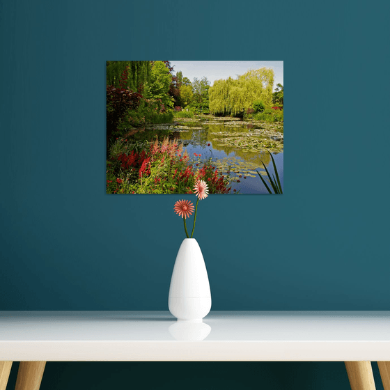 Le jardin d'eau en été