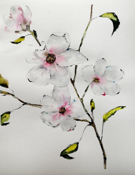 Magnolia painting. Blossoms painting