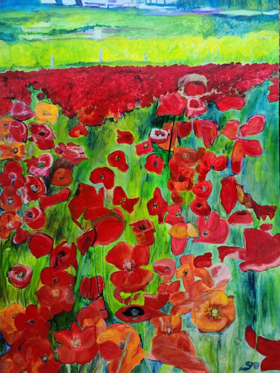 Poppies