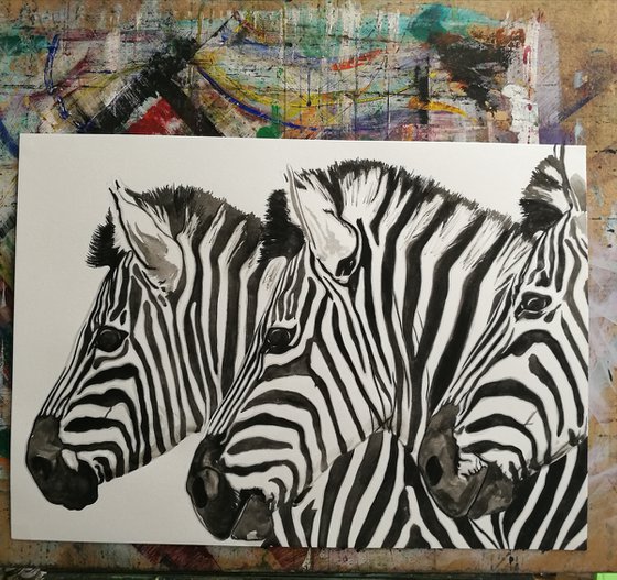 The Three Amigos. Watercolour Zebra. Free Shipping