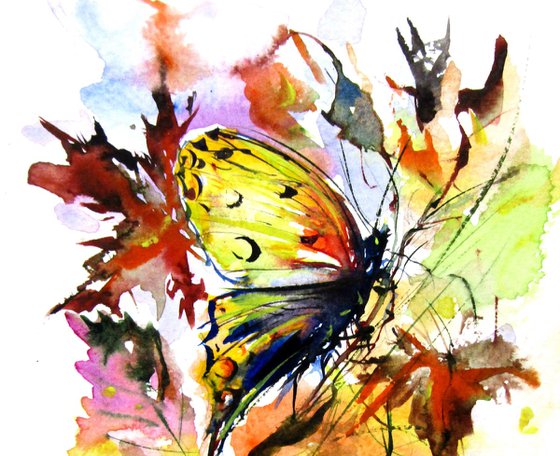 Little butterfly collection