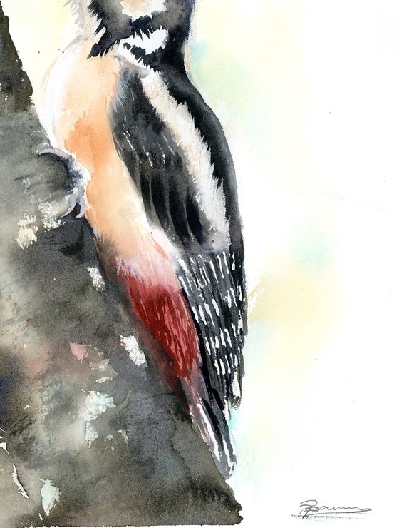 Woodpecker  -  Original Watercolor Painting by Olga Shefranov