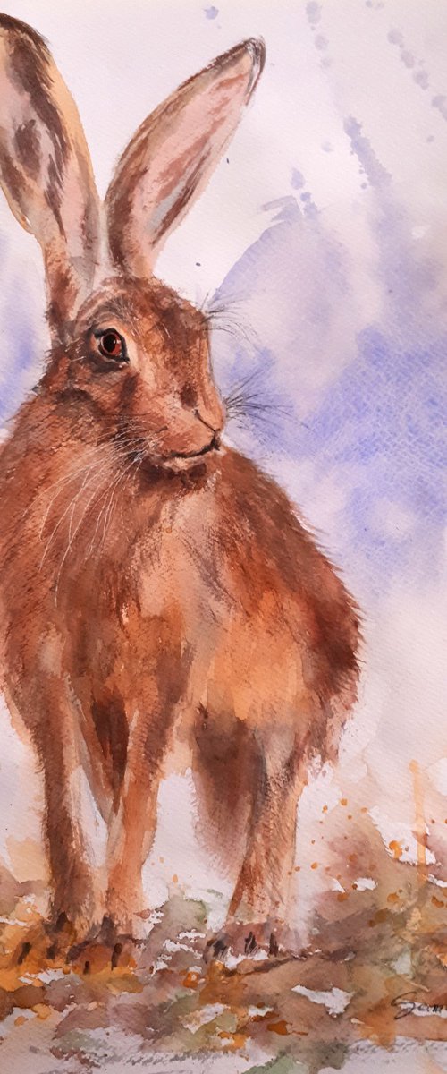 Hare II /  ORIGINAL WATERCOLOR  PAINTING by Salana Art / Svetlana Samovarova