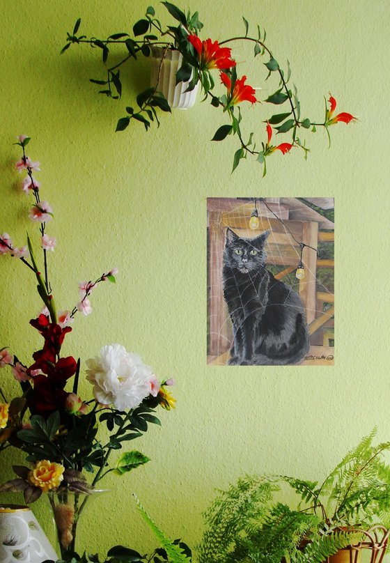 Black Cat Behind A Spider Web