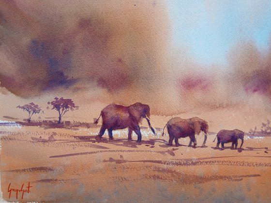 elephant 28