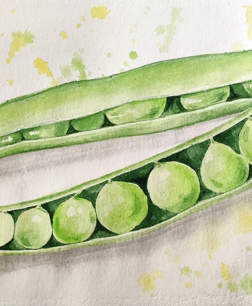 Green peas. Watercolor painting. by Svetlana Vorobyeva