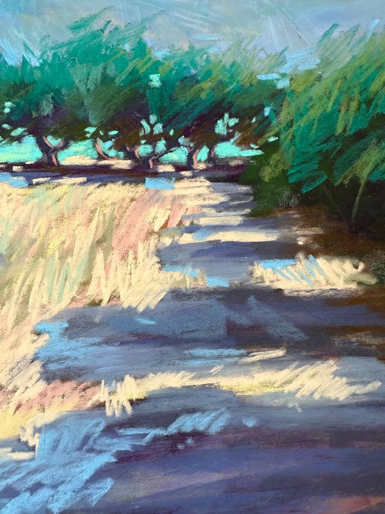 Olive trees