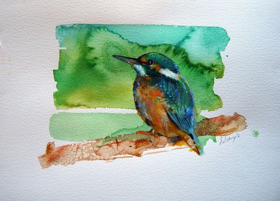 The little kingfisher