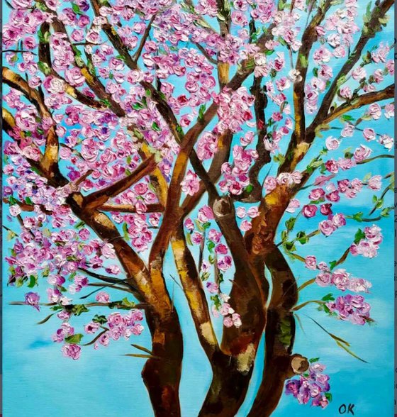 CHERRY  blossom