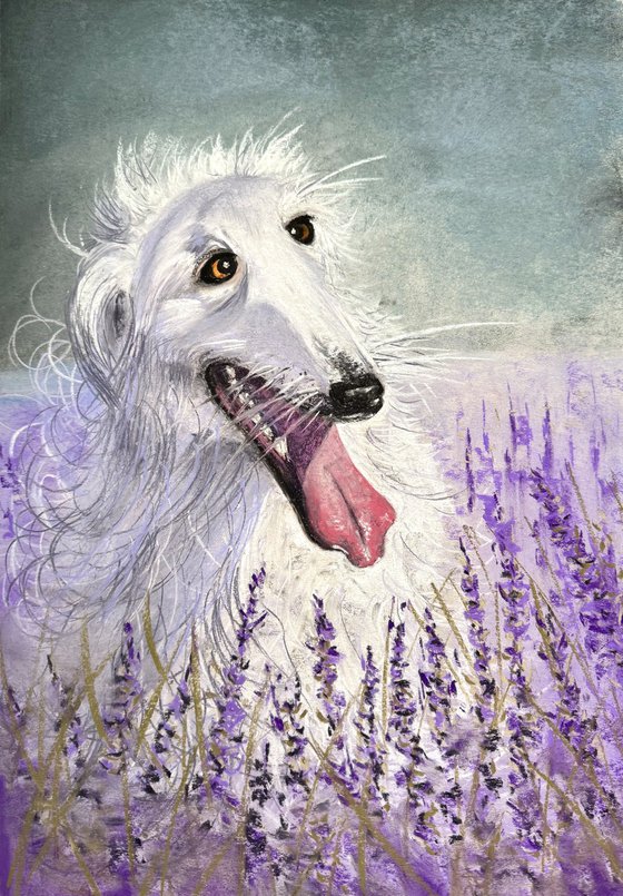Dog Portrait Lavanda Field