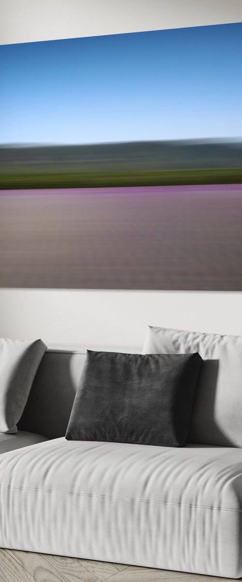 LAVANDER COLOURS by Fabio Accorrà