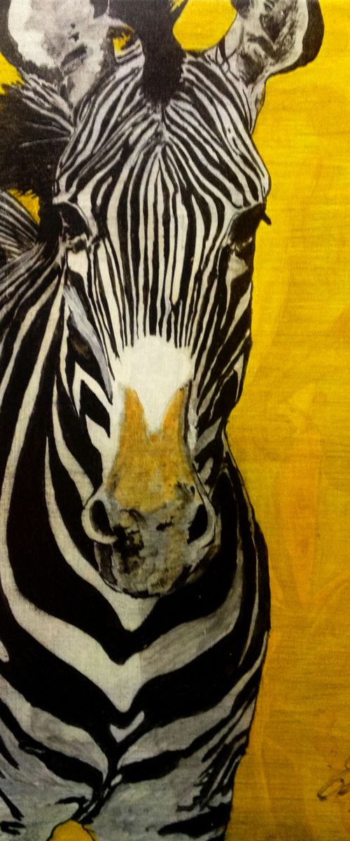 A zebra in yellow- original oil painting - 50 x 60 cm (20' x 24') by Carlo Toma