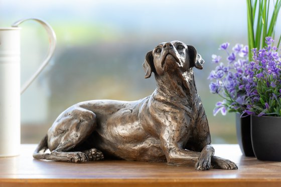 Lying Redbone Hound in Bronze Resin