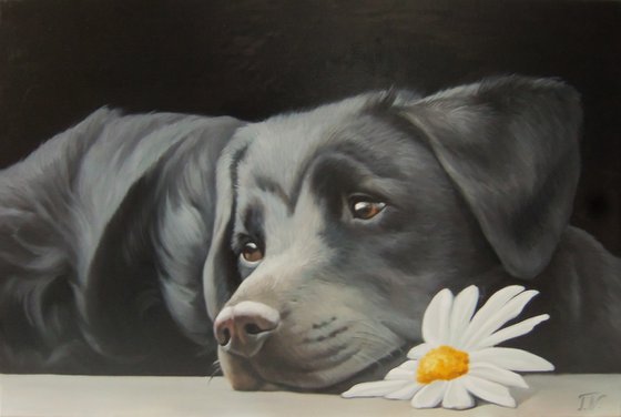 Dog with chamomile (40x60cm, oil painting, ready to hang)