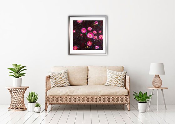 EVENING COOLNESS - Original. Pink flowers. Unusual peonies. Dark background. Floral art. Hand painting. Dust.