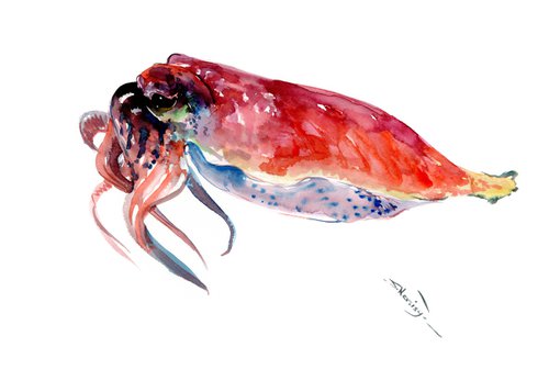 Squid by Suren Nersisyan