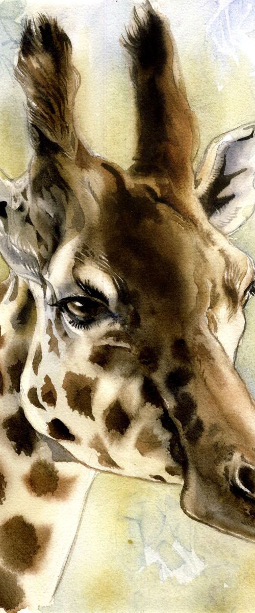 portait of a giraffe by Alfred  Ng