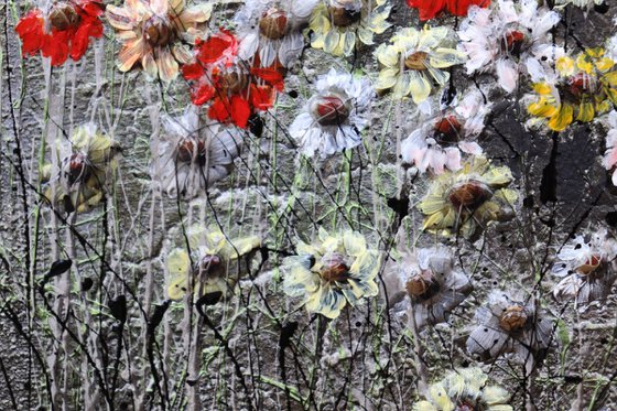 spring is coming