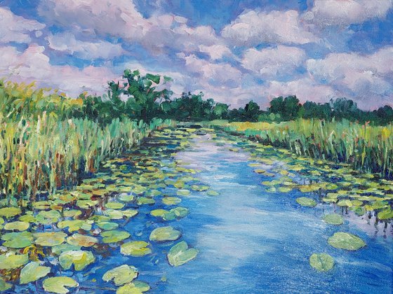 Tranquil Waters - Norfolk broads