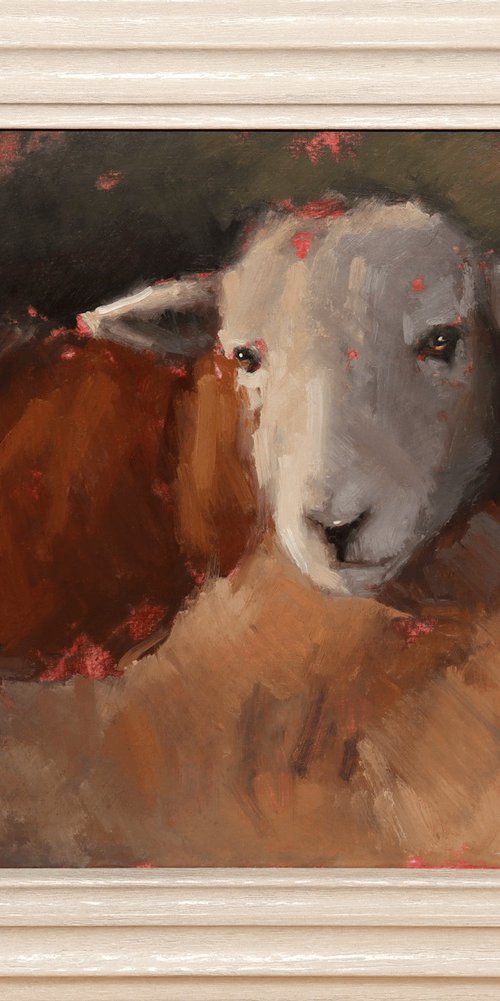 Sheep study by Jade Eynon